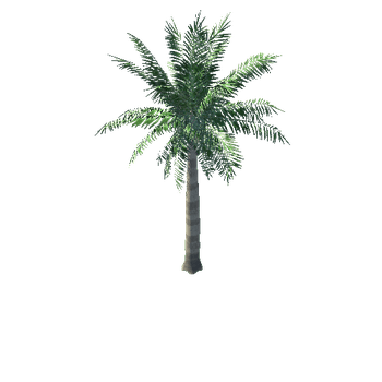 Build Accesory Palm Tree 1